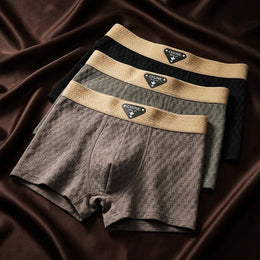 Atlas Organic Cotton Boxer Briefs